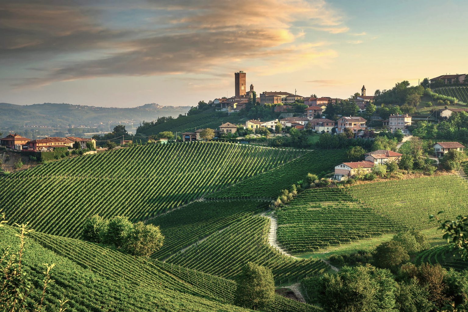 monferrato