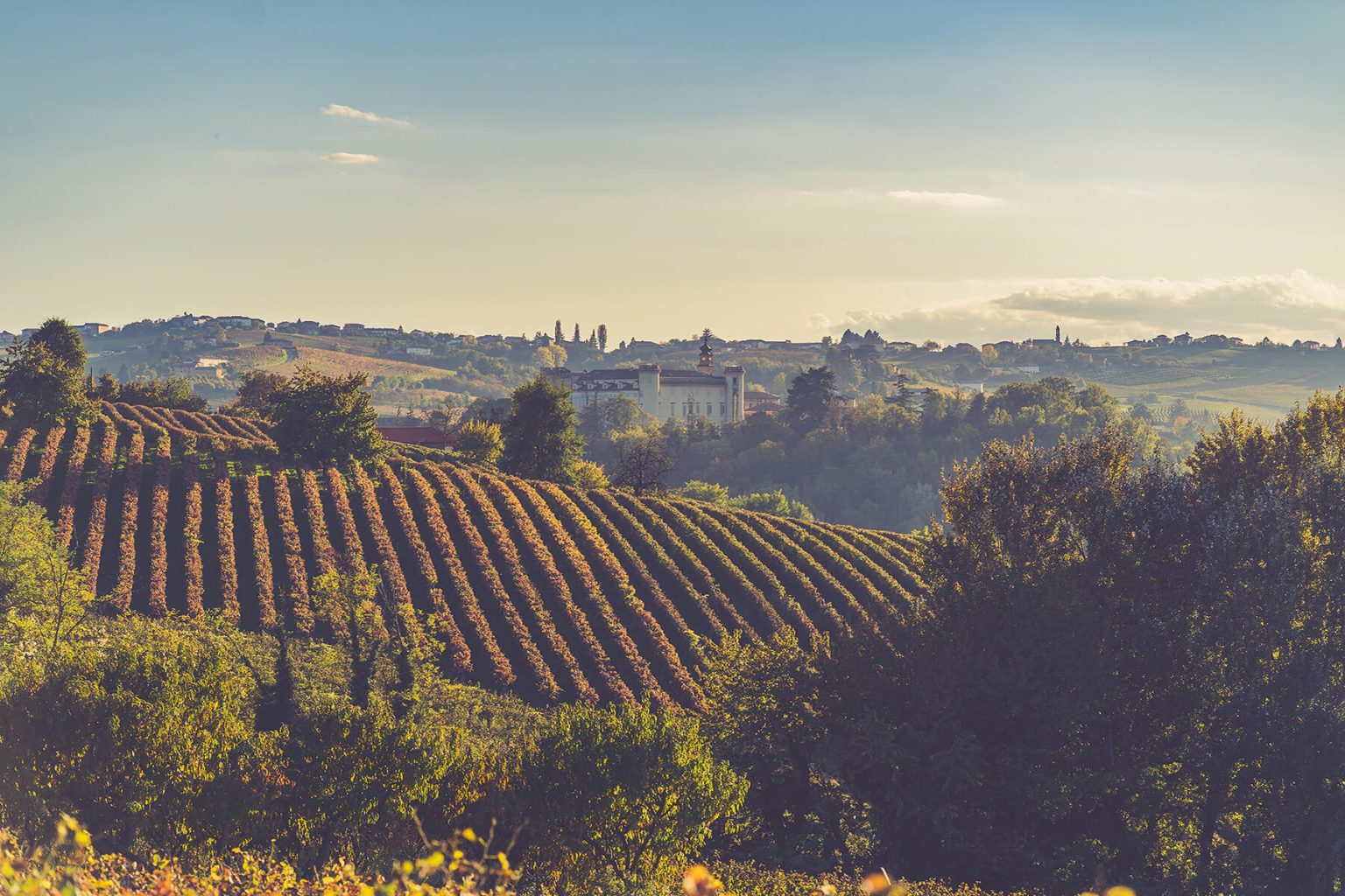 monferrato